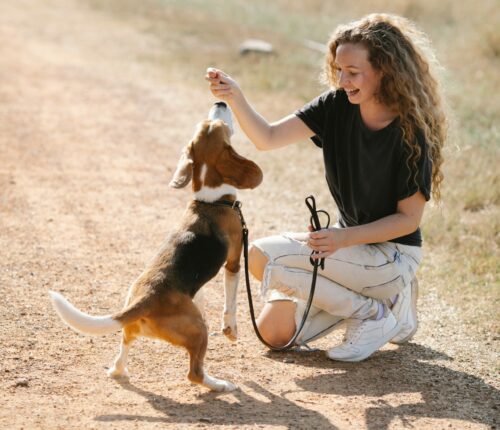 jeune femme et son chien en train de faire un exercice d'éducation