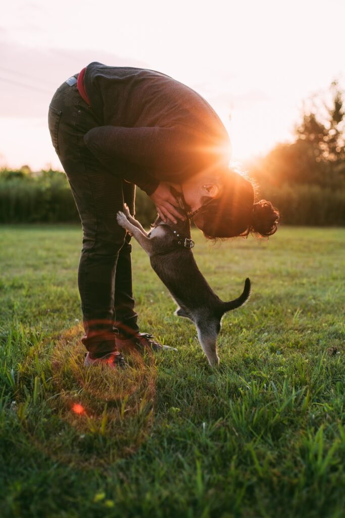 photo d'un chiot